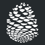 motif pomme de pin