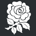 motif rose anglaise