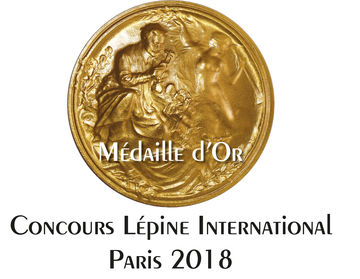 Urne funéraire, médaille d'or concours Lépine 2018